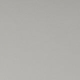 CLARKE AND CLARKE F1062/38.CAC.0 SPECTRUM SILVER Fabric - Eade's Wallpaper