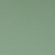 CLARKE AND CLARKE F1062/42.CAC.0 SPECTRUM THYME Fabric - Eade's Wallpaper