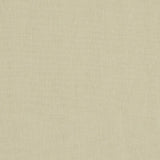 CLARKE AND CLARKE F1068/03.CAC.0 MIDORI BAMBOO Fabric - Eade's Wallpaper