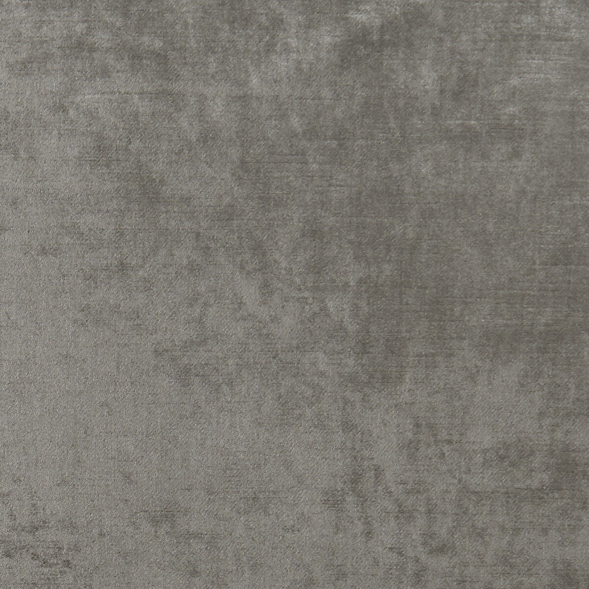 CLARKE AND CLARKE F1069/03.CAC.0 ALLURE ASH Fabric - Eade's Wallpaper