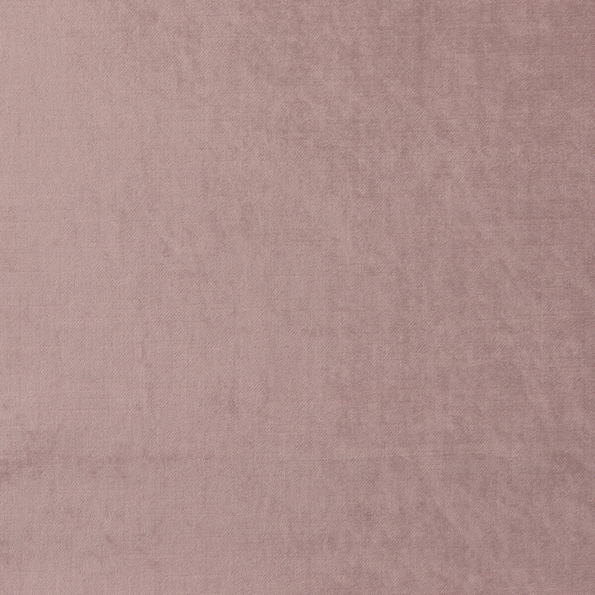 CLARKE AND CLARKE F1069/05.CAC.0 ALLURE BLUSH Fabric - Eade's Wallpaper