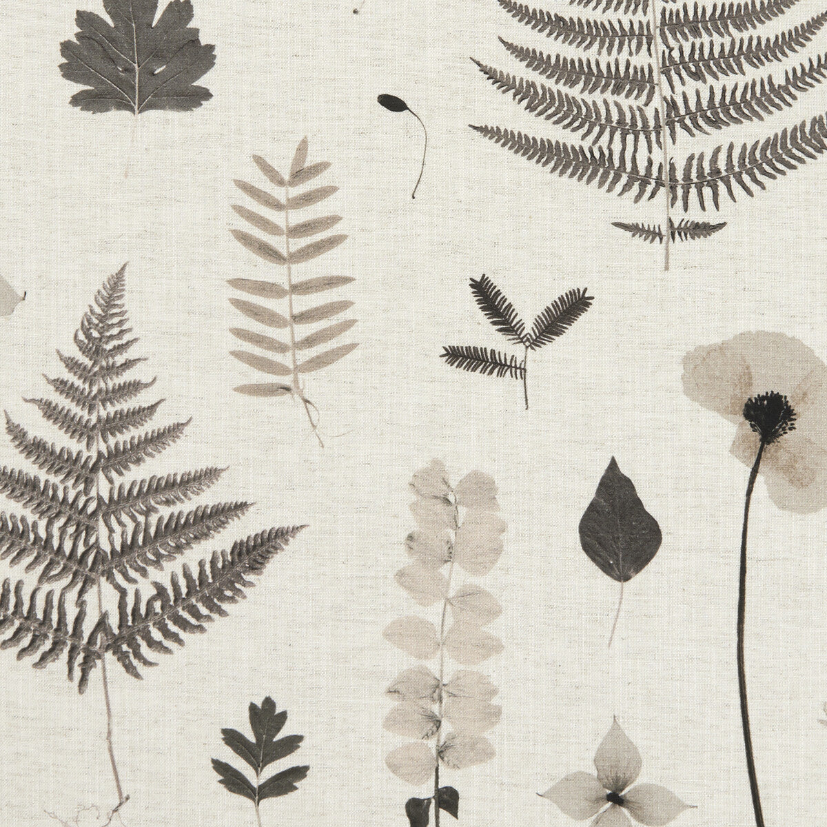 CLARKE AND CLARKE F1089/02.CAC.0 HERBARIUM CHARCOAL/NATURAL Fabric - Eade's Wallpaper