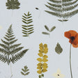 CLARKE AND CLARKE F1089/04.CAC.0 HERBARIUM MINERAL Fabric - Eade's Wallpaper