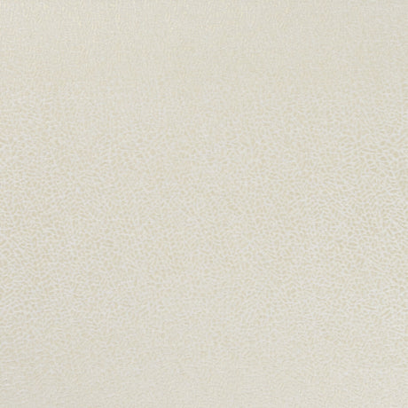 CLARKE AND CLARKE F1091/01.CAC.0 ISLA IVORY/GILVER Fabric - Eade's Wallpaper