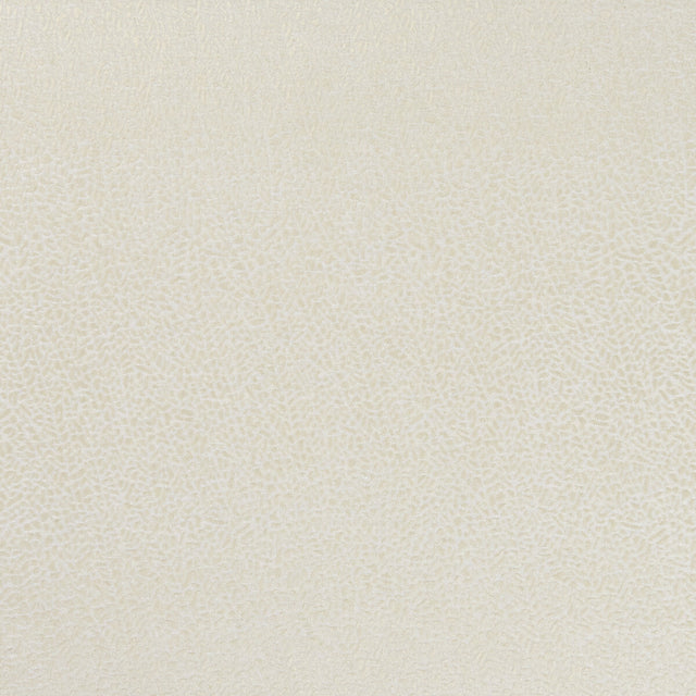 CLARKE AND CLARKE F1091/01.CAC.0 ISLA IVORY/GILVER Fabric - Eade's Wallpaper