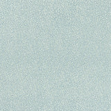 CLARKE AND CLARKE F1091/02.CAC.0 ISLA MINERAL/SILVER Fabric - Eade's Wallpaper
