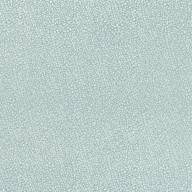 CLARKE AND CLARKE F1091/02.CAC.0 ISLA MINERAL/SILVER Fabric - Eade's Wallpaper