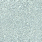 CLARKE AND CLARKE F1091/02.CAC.0 ISLA MINERAL/SILVER Fabric - Eade's Wallpaper