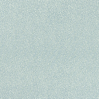 CLARKE AND CLARKE F1091/02.CAC.0 ISLA MINERAL/SILVER Fabric - Eade's Wallpaper