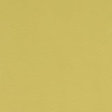 CLARKE AND CLARKE F1097/06.CAC.0 ALORA CELERY Fabric - Eade's Wallpaper