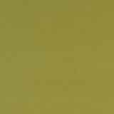 CLARKE AND CLARKE F1097/10.CAC.0 ALORA CITRUS Fabric - Eade's Wallpaper