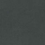 CLARKE AND CLARKE F1097/24.CAC.0 ALORA GUNMETAL Fabric - Eade's Wallpaper