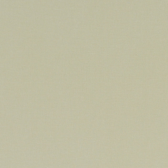 CLARKE AND CLARKE F1097/26.CAC.0 ALORA HEMP Fabric - Eade's Wallpaper