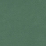 CLARKE AND CLARKE F1097/31.CAC.0 ALORA LEAF Fabric - Eade's Wallpaper