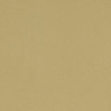 CLARKE AND CLARKE F1097/35.CAC.0 ALORA MALT Fabric - Eade's Wallpaper