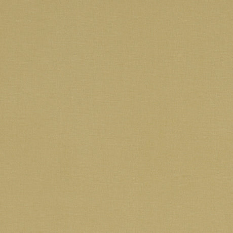 CLARKE AND CLARKE F1097/35.CAC.0 ALORA MALT Fabric - Eade's Wallpaper