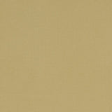 CLARKE AND CLARKE F1097/35.CAC.0 ALORA MALT Fabric - Eade's Wallpaper