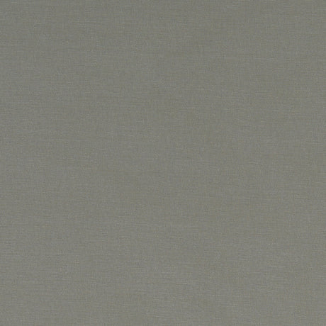 CLARKE AND CLARKE F1097/38.CAC.0 ALORA MINK Fabric - Eade's Wallpaper