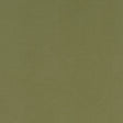 CLARKE AND CLARKE F1097/41.CAC.0 ALORA MOSS Fabric - Eade's Wallpaper