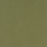 CLARKE AND CLARKE F1097/41.CAC.0 ALORA MOSS Fabric - Eade's Wallpaper