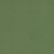 CLARKE AND CLARKE F1097/43.CAC.0 ALORA PALM Fabric - Eade's Wallpaper