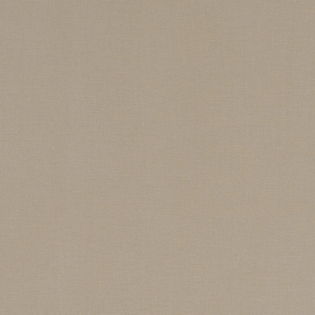 CLARKE AND CLARKE F1097/55.CAC.0 ALORA SAND Fabric - Eade's Wallpaper