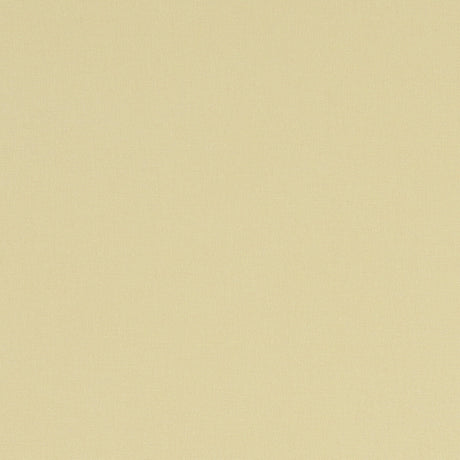 CLARKE AND CLARKE F1097/63.CAC.0 ALORA STRAW Fabric - Eade's Wallpaper