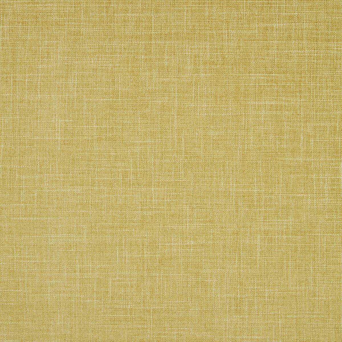 CLARKE AND CLARKE F1098/04.CAC.0 ALBANY CHARTREUSE Fabric - Eade's Wallpaper