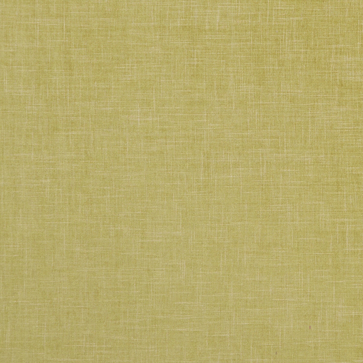 CLARKE AND CLARKE F1098/05.CAC.0 ALBANY CITRON Fabric - Eade's Wallpaper