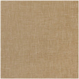 CLARKE AND CLARKE F1098/25.CAC.0 ALBANY PECAN Fabric - Eade's Wallpaper