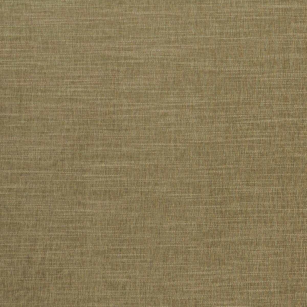 CLARKE AND CLARKE F1099/22.CAC.0 MORAY MOSS Fabric - Eade's Wallpaper