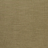 CLARKE AND CLARKE F1099/22.CAC.0 MORAY MOSS Fabric - Eade's Wallpaper