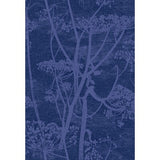 COLE & SON F111/5016.CS.0 COW PARSLEY HYACINTH & INK Fabric - Eade's Wallpaper