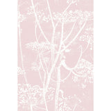 COLE & SON F111/5018.CS.0 COW PARSLEY WHT BALLE SLIP Fabric - Eade's Wallpaper