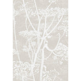 COLE & SON F111/5019.CS.0 COW PARSLEY WHT TAUPE Fabric - Eade's Wallpaper