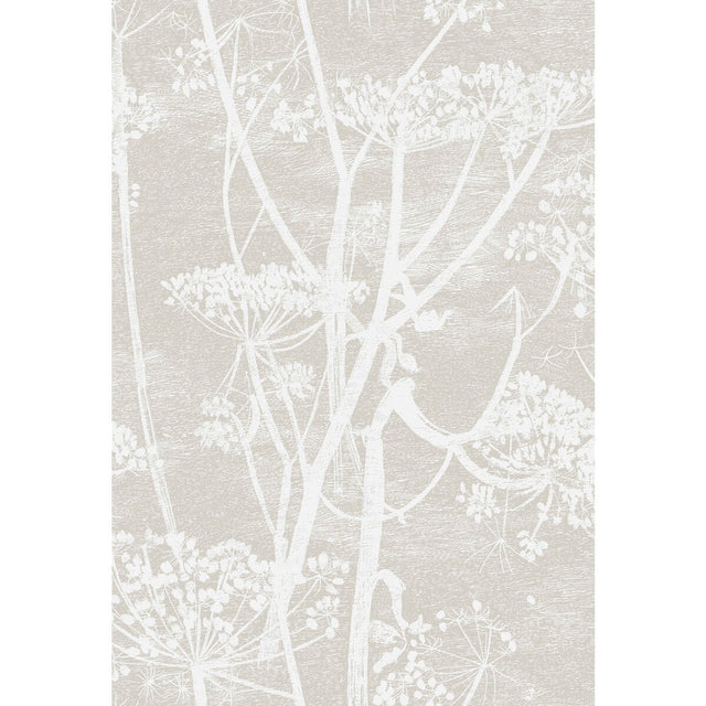 COLE & SON F111/5019.CS.0 COW PARSLEY WHT TAUPE Fabric - Eade's Wallpaper