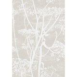 COLE & SON F111/5019.CS.0 COW PARSLEY WHT TAUPE Fabric - Eade's Wallpaper