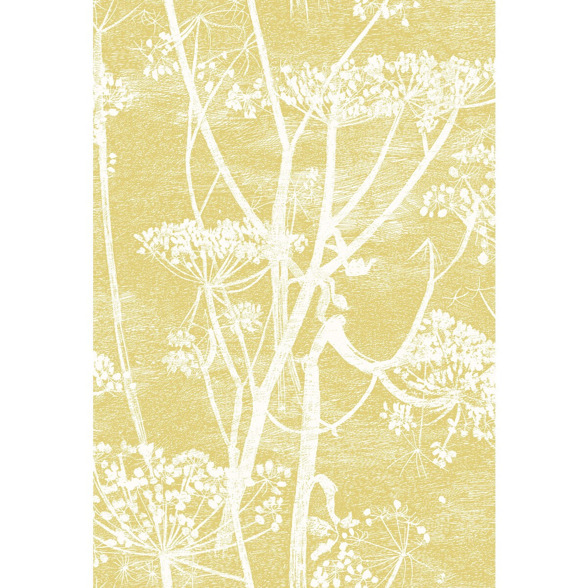 COLE & SON F111/5020.CS.0 COW PARSLEY WHT & CHARTRE Fabric - Eade's Wallpaper