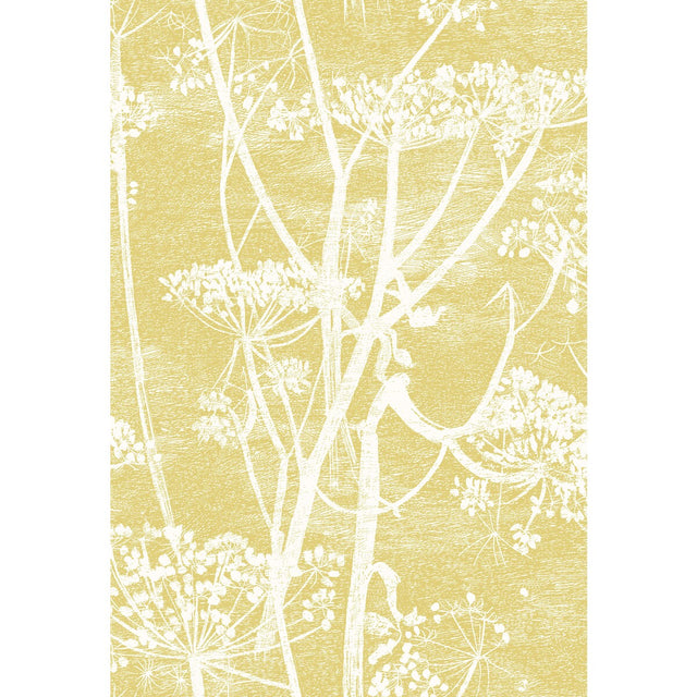 COLE & SON F111/5020.CS.0 COW PARSLEY WHT & CHARTRE Fabric - Eade's Wallpaper