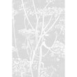 COLE & SON F111/5021.CS.0 COW PARSLEY SOFT GREY Fabric - Eade's Wallpaper