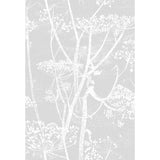 COLE & SON F111/5021.CS.0 COW PARSLEY SOFT GREY Fabric - Eade's Wallpaper