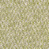 CLARKE AND CLARKE F1131/01.CAC.0 MERCURY CITRON Fabric - Eade's Wallpaper