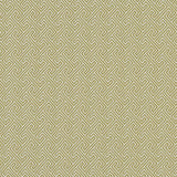 CLARKE AND CLARKE F1131/01.CAC.0 MERCURY CITRON Fabric - Eade's Wallpaper