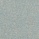 CLARKE AND CLARKE F1132/05.CAC.0 NEBULA DUCKEGG Fabric - Eade's Wallpaper