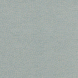 CLARKE AND CLARKE F1132/05.CAC.0 NEBULA DUCKEGG Fabric - Eade's Wallpaper