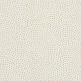 CLARKE AND CLARKE F1132/06.CAC.0 NEBULA IVORY Fabric - Eade's Wallpaper