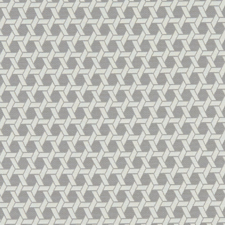 CLARKE AND CLARKE F1135/01.CAC.0 SATURN CHARCOAL Fabric - Eade's Wallpaper