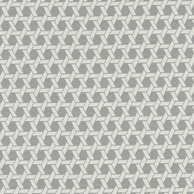 CLARKE AND CLARKE F1135/01.CAC.0 SATURN CHARCOAL Fabric - Eade's Wallpaper