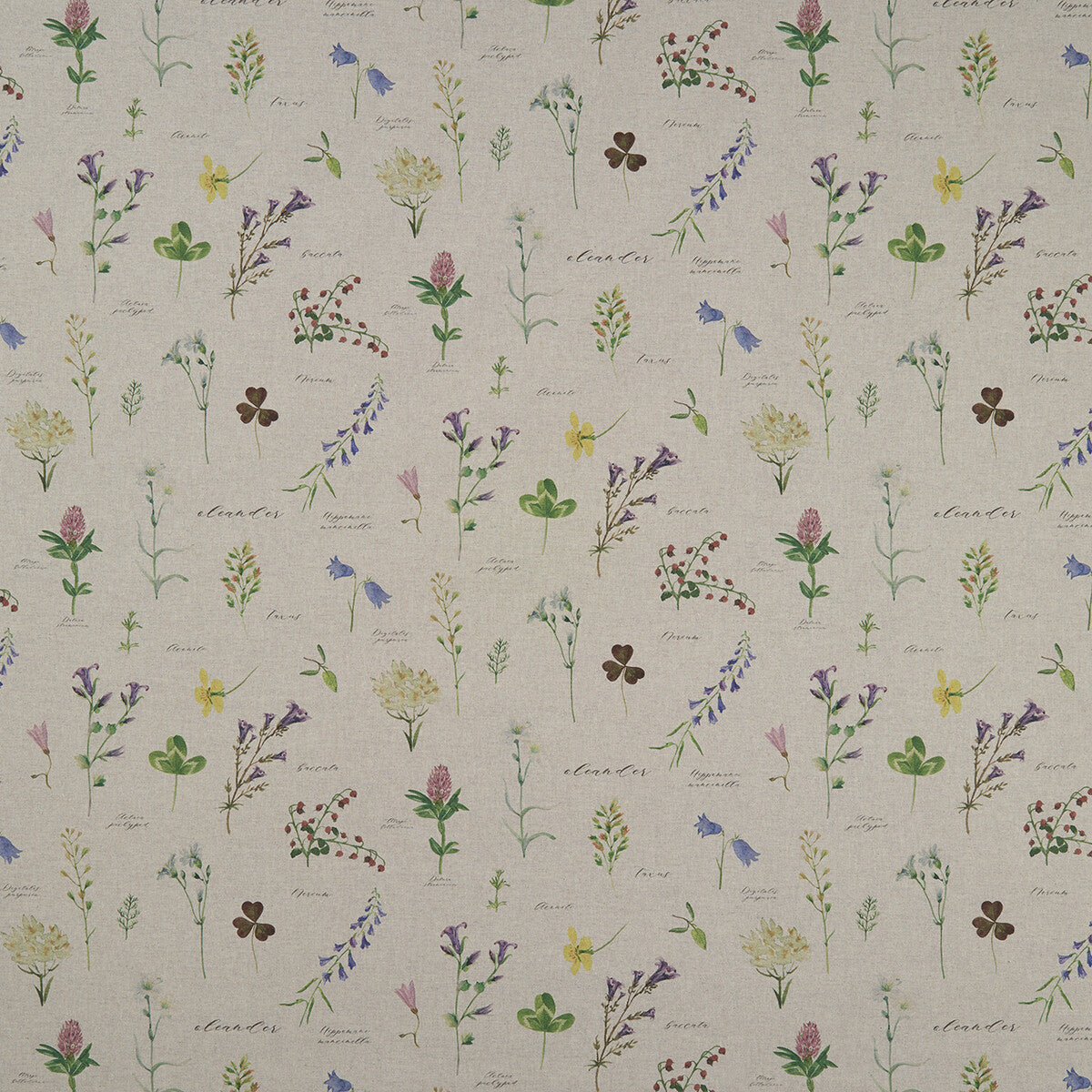 CLARKE AND CLARKE F1167/01.CAC.0 NERIUM LINEN Fabric - Eade's Wallpaper