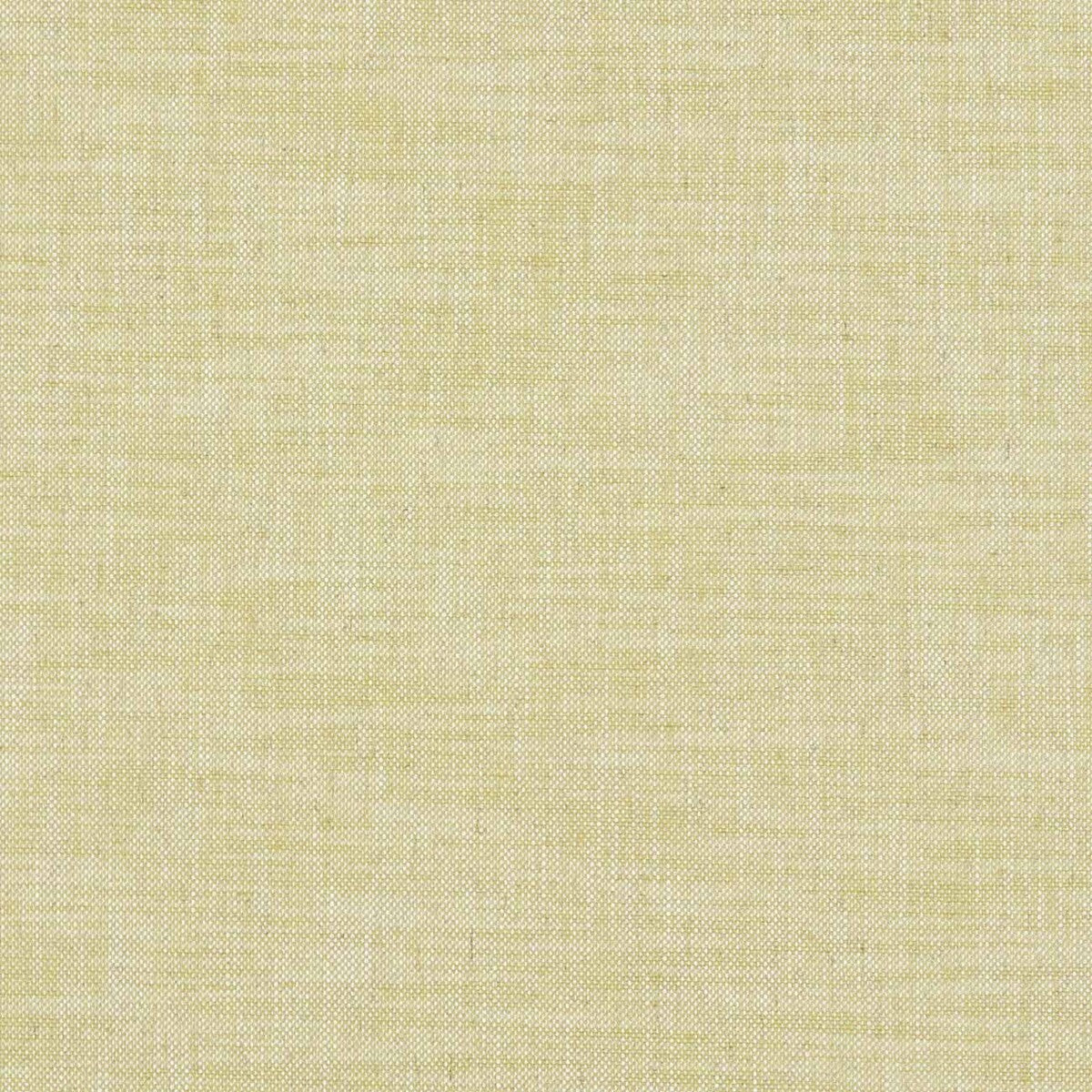 CLARKE AND CLARKE F1180/02.CAC.0 MILTON CITRON Fabric - Eade's Wallpaper